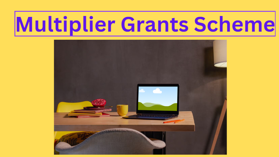 Multiplier Grants Scheme